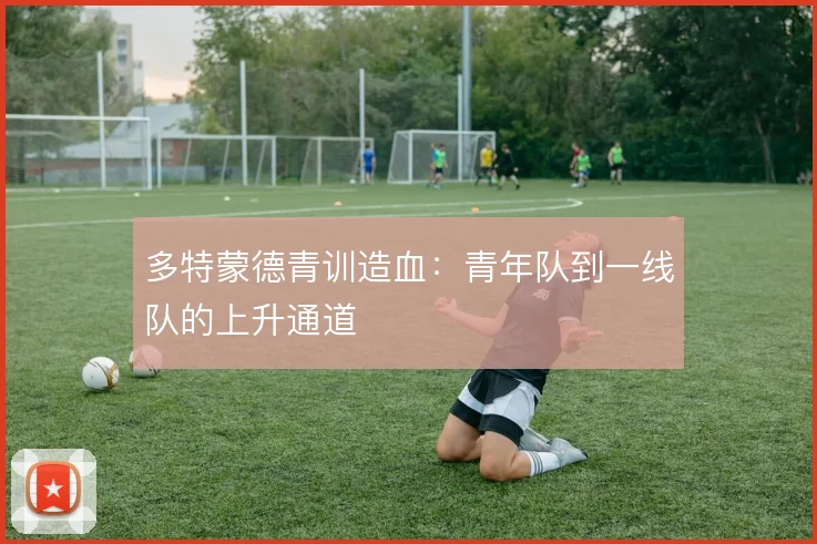 多特蒙德青训造血：青年队到一线队的上升通道