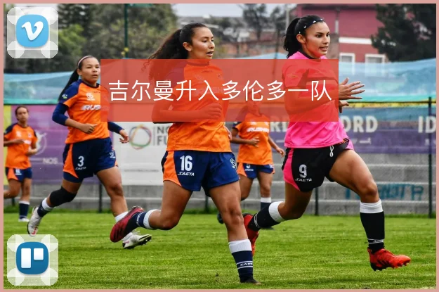 吉尔曼升入多伦多一队