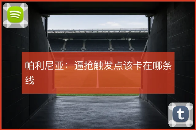 帕利尼亚：逼抢触发点该卡在哪条线